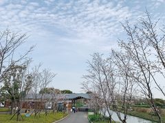 -嘉北郊野公园北游客中心-地上停车场