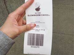 -怀托摩萤火虫洞