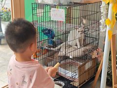 -福星牛奶甜品店(常平店)