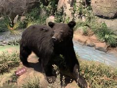 -陕西自然博物馆