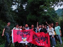 -天目山大树王景区