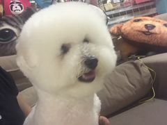 -1013 PET SHOP 宠物商店(近铁城市广场店)