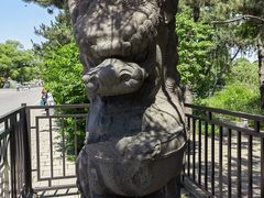-北陵公园