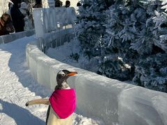-波塞冬旅游度假区