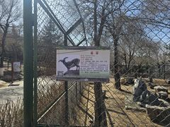-青藏高原野生动物园