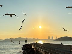 -海云台海滩