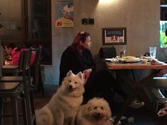 百好乐比萨-百好乐宠物友好餐厅(朝外大街店)