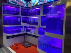 -喜粤广东菜(汉屯路店)