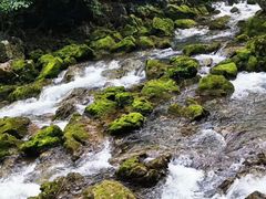 -小七孔景区东门售票处