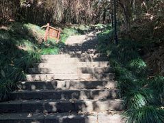 -梦姑塘文化公园
