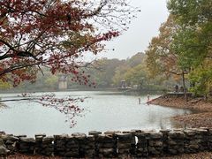 -紫金山山顶公园