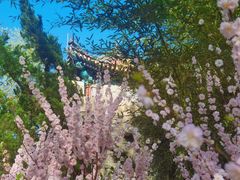 -云岗森林公园