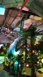 -恐龙探索乐园(磁器口店)