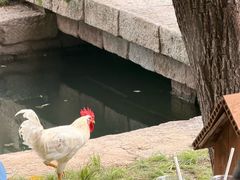 -春风习习