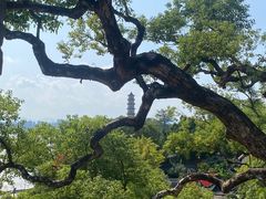 -江心屿景区