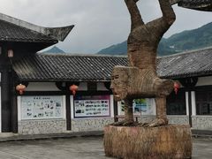 -紫鹊界梯田景区