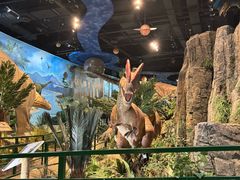 -陕西自然博物馆