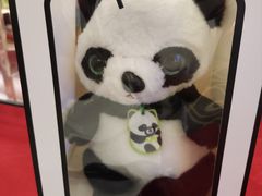 -都江堰中华大熊猫苑