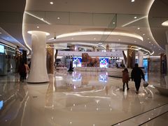 -棕榈MALL