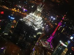 -上海柏悦酒店·世纪100牛排馆