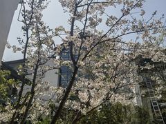 -广富林宰相府酒店·水云间