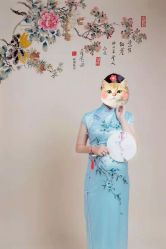 -小熊维尼高端儿童摄影(宝安旗舰店)