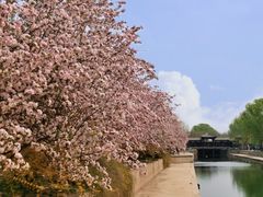 -海棠花溪(元大都城垣遗址公园)