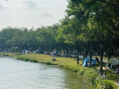 -顺峰山公园