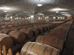 -紫轩葡萄酒庄园