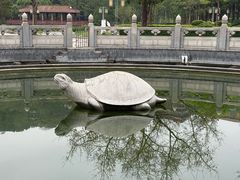 -顺峰山公园