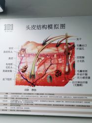 -章光101防脱养发荟