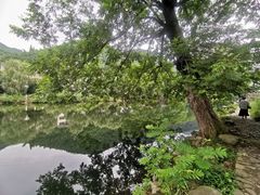 -鹿亭中村