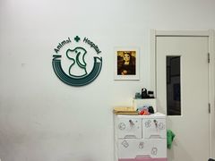 -中农国际动物医院24小时·猫科·骨科·急重症中心