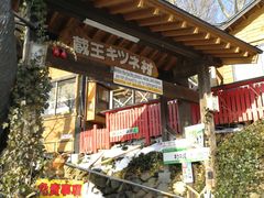 -宫城藏王狐狸村