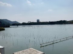 -顺峰山公园