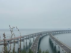 -星海湾跨海大桥