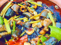 -天宝食坊·啫啫煲大排档(西华路店)