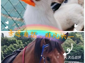 广州格林东庄|六一出游体验自然的风光