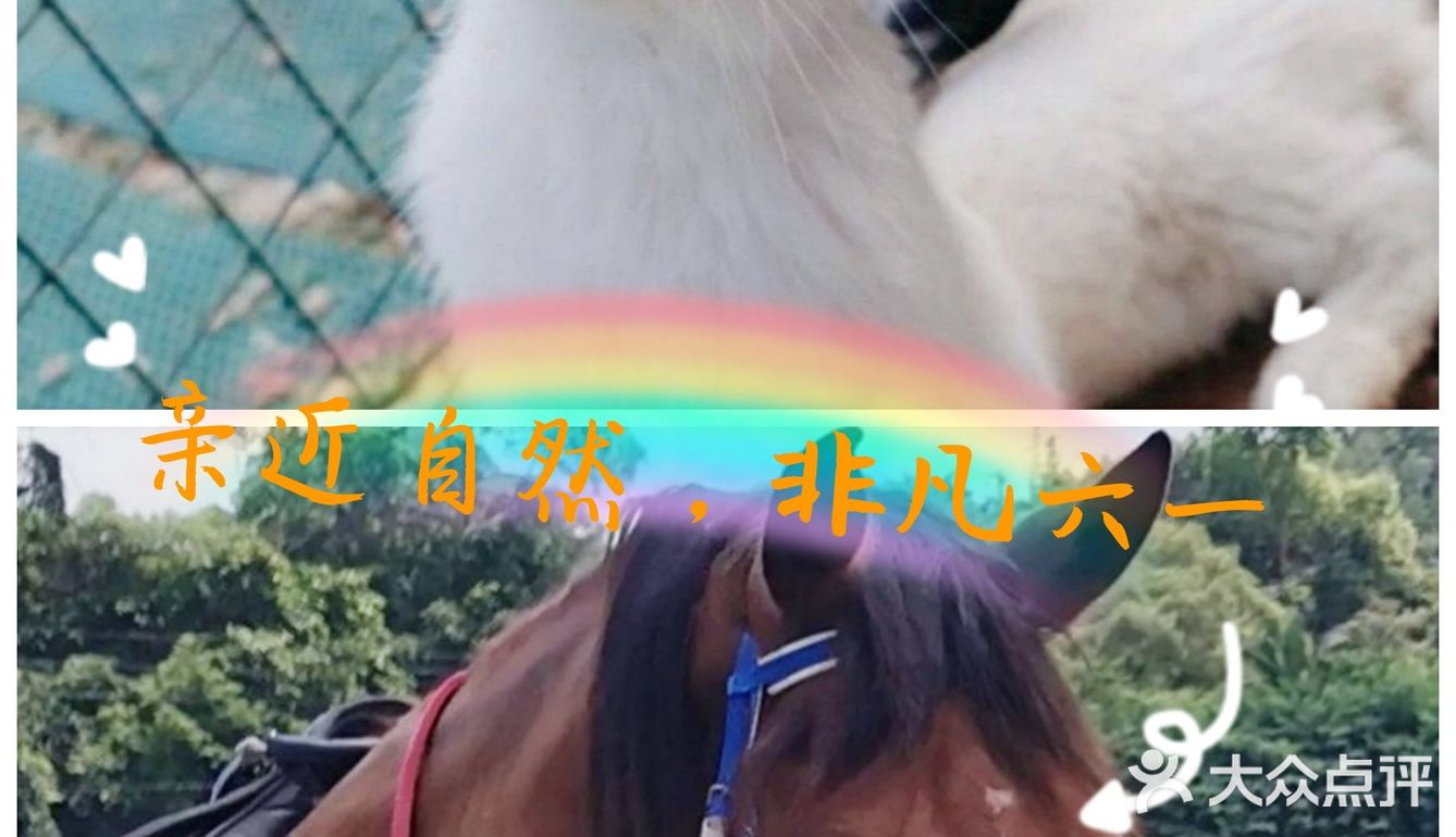 广州格林东庄|六一出游体验自然的风光[亲亲]