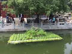 -香山公园-东宫门售票处