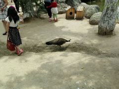 android_upload_pic-临沂动植物园
