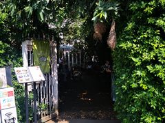 -Fern Forest Cafe