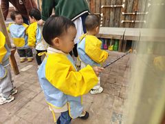-糖心家族国际幼儿园·托育园(南开水上公园店)