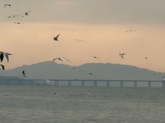 -星巴克(深圳湾口岸分店)