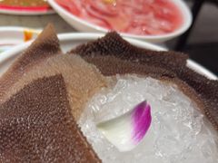 -红九格老火锅(三峡广场店)