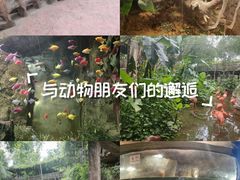 -长鹿旅游休博园