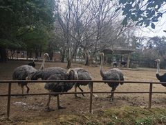 -南昌动物园