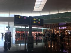 -巴塞罗那约瑟·塔拉德利亚斯-埃尔·普拉特机场