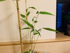 -十二舍·湯物素煮(江泰潤政店)
