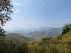 -莫干山风景区